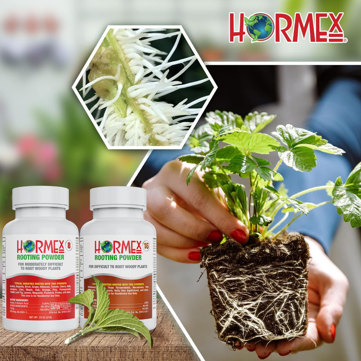 Hormex Rooting Powder #8 & 16 - Rooting Hormone for Semi-Hardwood Home and Garden Plants to Very Difficult Hardwood