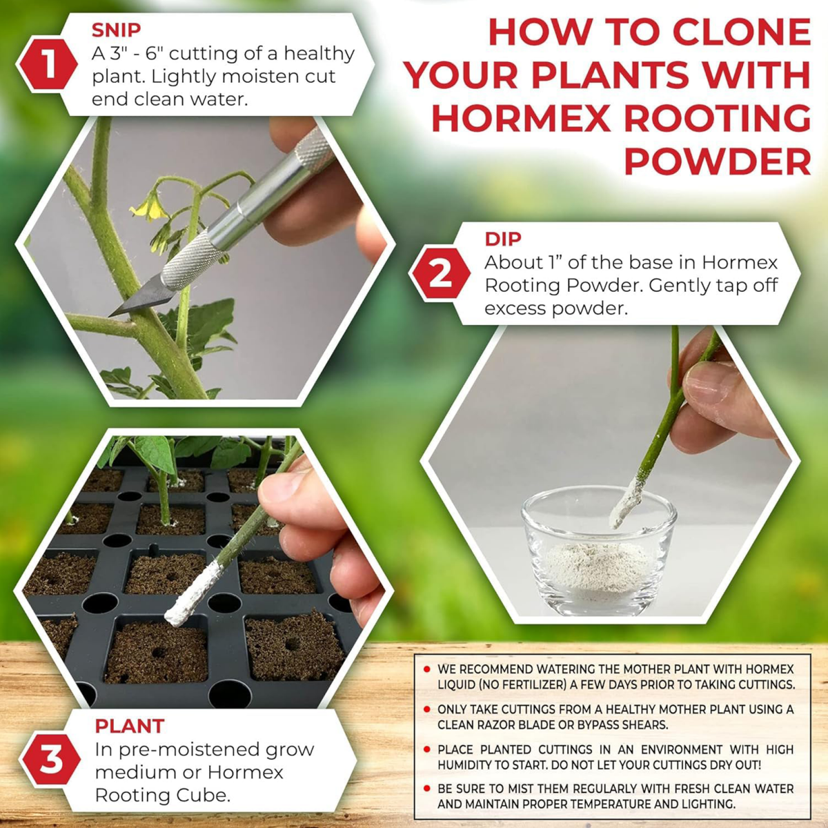 Hormex Rooting Powder #8 & 16 - Rooting Hormone for Semi-Hardwood Home and Garden Plants to Very Difficult Hardwood