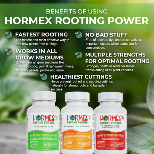 Hormex Rooting Powder Pack #1 3 8 - Rooting Hormone – HORMEX