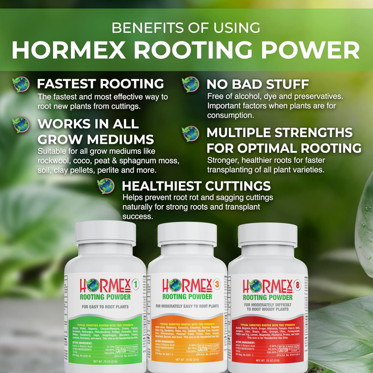 Hormex Rooting Powder Pack #1 3 8 - Rooting Hormone for Delicate and Common Houseplants to Semi-Hardwood Medicinal