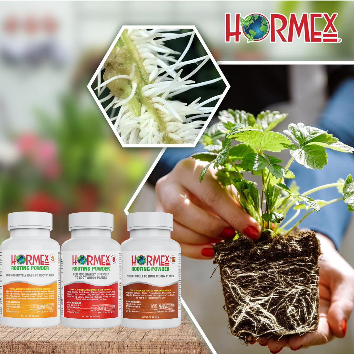 Hormex Rooting Powder Pack #3 8 16 - Rooting Hormone for Common Home Garden Plants to Very Difficult Hardwood Medicinal