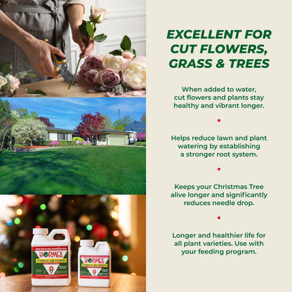 cut flowers hydroponics christmas tree rooting hormone lawn garden